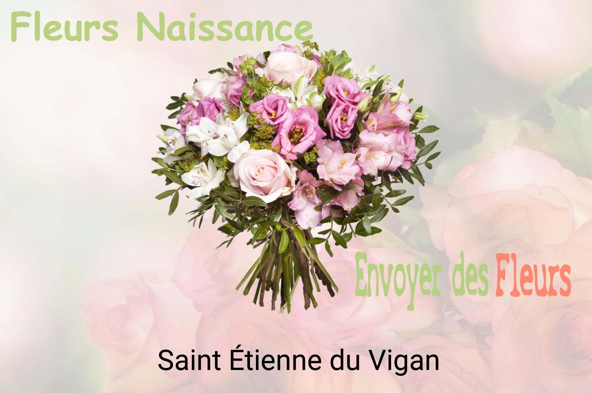 Bouquet de fleurs de naissance livré à Saint-Étienne-du-Vigan