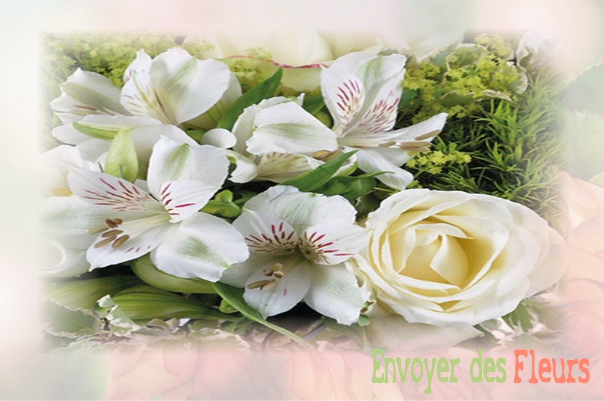 envoyer des fleurs à à SAINT-ETIENNE-DU-VIGAN